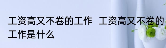 工资高又不卷的工作  工资高又不卷的工作是什么