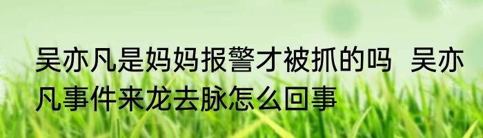 吴亦凡是妈妈报警才被抓的吗  吴亦凡事件来龙去脉怎么回事