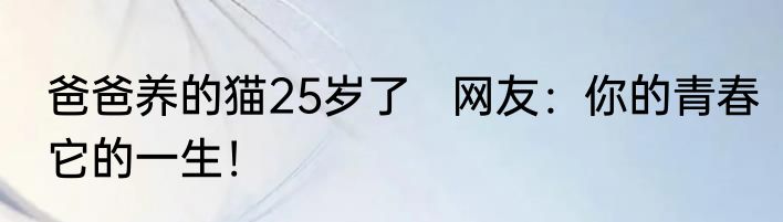 爸爸养的猫25岁了   网友：你的青春它的一生！