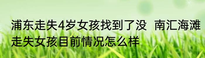 浦东走失4岁女孩找到了没  南汇海滩走失女孩目前情况怎么样