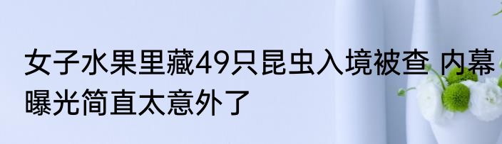 女子水果里藏49只昆虫入境被查 内幕曝光简直太意外了