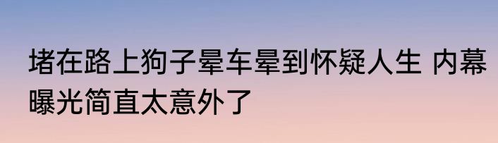 堵在路上狗子晕车晕到怀疑人生 内幕曝光简直太意外了