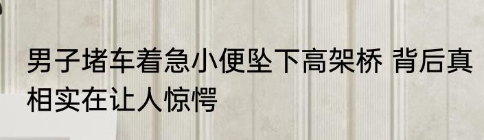 男子堵车着急小便坠下高架桥 背后真相实在让人惊愕