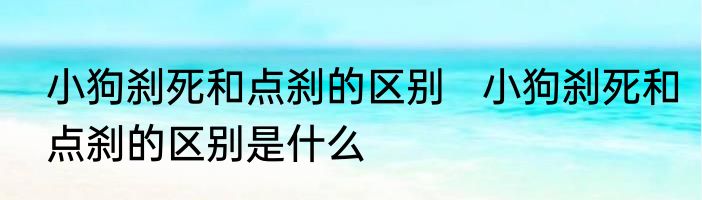 小狗刹死和点刹的区别   小狗刹死和点刹的区别是什么