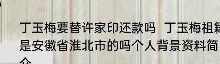 丁玉梅要替许家印还款吗  丁玉梅祖籍是安徽省淮北市的吗个人背景资料简介