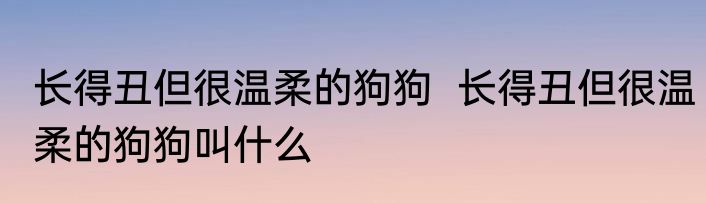 长得丑但很温柔的狗狗  长得丑但很温柔的狗狗叫什么