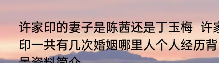 许家印的妻子是陈茜还是丁玉梅  许家印一共有几次婚姻哪里人个人经历背景资料简介