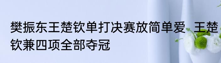 樊振东王楚钦单打决赛放简单爱  王楚钦兼四项全部夺冠