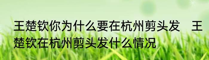 王楚钦你为什么要在杭州剪头发   王楚钦在杭州剪头发什么情况