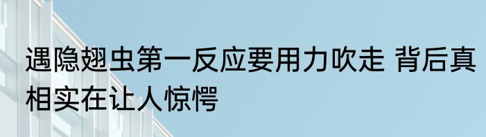 遇隐翅虫第一反应要用力吹走 背后真相实在让人惊愕