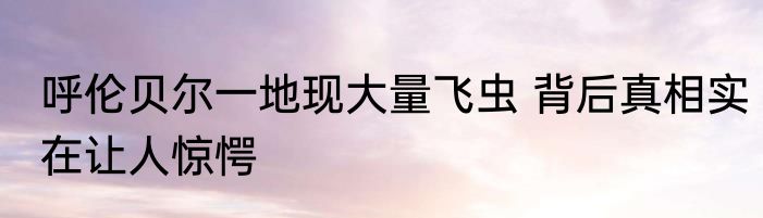 呼伦贝尔一地现大量飞虫 背后真相实在让人惊愕