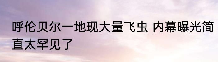 呼伦贝尔一地现大量飞虫 内幕曝光简直太罕见了