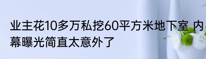 业主花10多万私挖60平方米地下室 内幕曝光简直太意外了