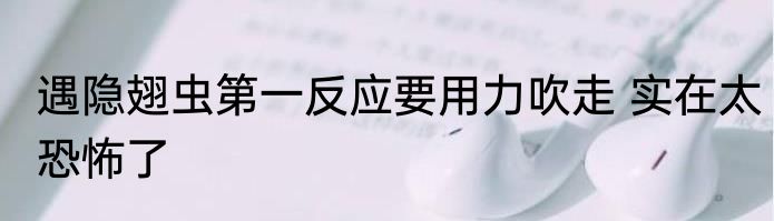 遇隐翅虫第一反应要用力吹走 实在太恐怖了