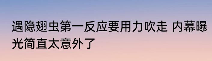 遇隐翅虫第一反应要用力吹走 内幕曝光简直太意外了