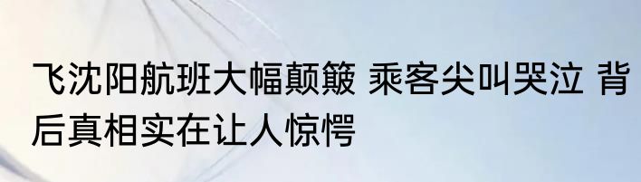 飞沈阳航班大幅颠簸 乘客尖叫哭泣 背后真相实在让人惊愕