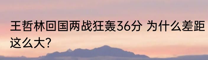 王哲林回国两战狂轰36分 为什么差距这么大？