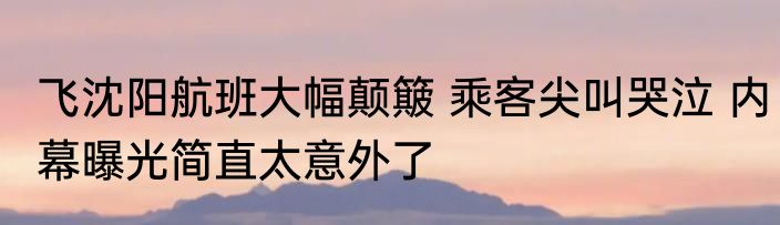 飞沈阳航班大幅颠簸 乘客尖叫哭泣 内幕曝光简直太意外了