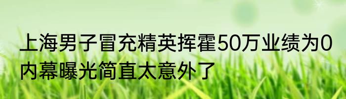 上海男子冒充精英挥霍50万业绩为0 内幕曝光简直太意外了