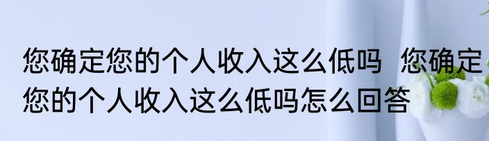 您确定您的个人收入这么低吗  您确定您的个人收入这么低吗怎么回答
