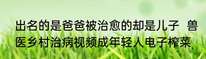 出名的是爸爸被治愈的却是儿子  兽医乡村治病视频成年轻人电子榨菜