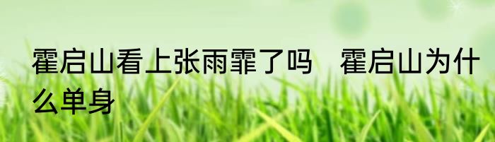 霍启山看上张雨霏了吗   霍启山为什么单身
