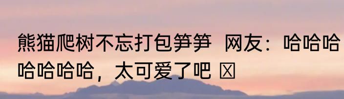 熊猫爬树不忘打包笋笋  网友：哈哈哈哈哈哈哈，太可爱了吧 ​