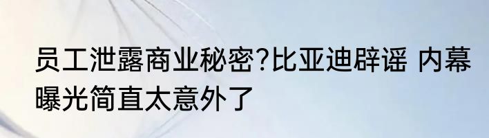 员工泄露商业秘密?比亚迪辟谣 内幕曝光简直太意外了