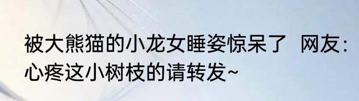 被大熊猫的小龙女睡姿惊呆了  网友：心疼这小树枝的请转发~