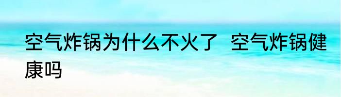 空气炸锅为什么不火了  空气炸锅健康吗