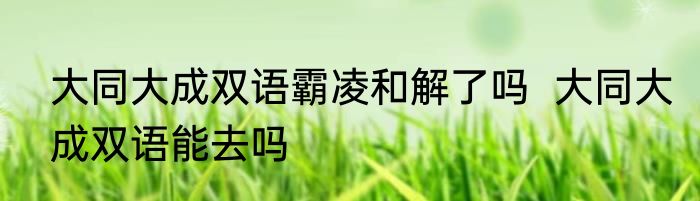大同大成双语霸凌和解了吗  大同大成双语能去吗