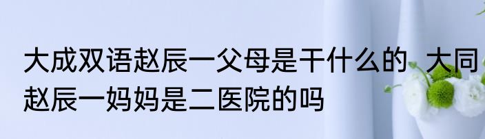 大成双语赵辰一父母是干什么的  大同赵辰一妈妈是二医院的吗