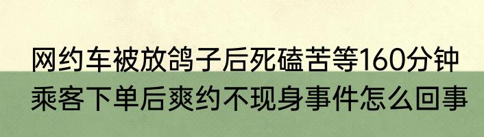  网约车被放鸽子后死磕苦等160分钟   乘客下单后爽约不现身事件怎么回事