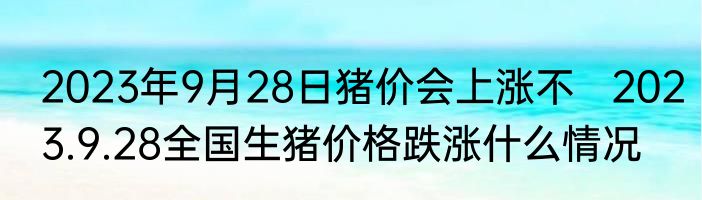 孙颖莎领奖时唠嗑结果掉队了 网友：莎莎掉队后挪动的步伐太可爱了