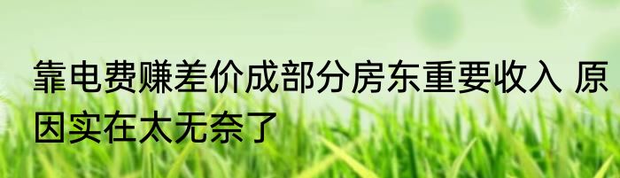 靠电费赚差价成部分房东重要收入 原因实在太无奈了