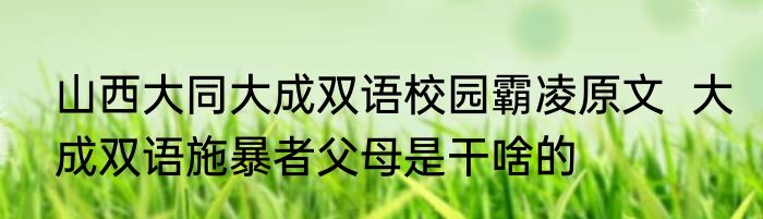 山西大同大成双语校园霸凌原文  大成双语施暴者父母是干啥的