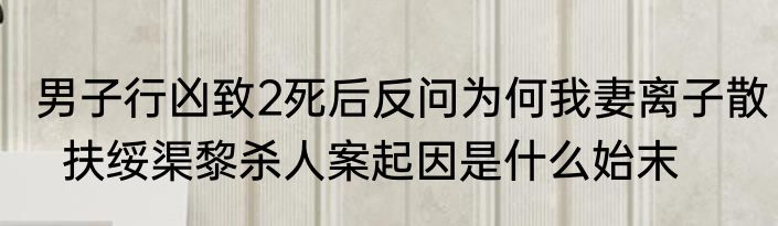 男子行凶致2死后反问为何我妻离子散  扶绥渠黎杀人案起因是什么始末
