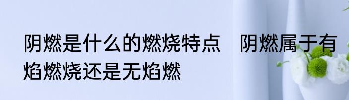 阴燃是什么的燃烧特点   阴燃属于有焰燃烧还是无焰燃