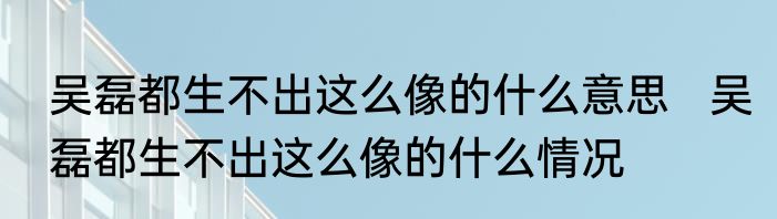 吴磊都生不出这么像的什么意思   吴磊都生不出这么像的什么情况