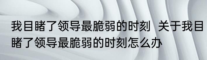 我目睹了领导最脆弱的时刻  关于我目睹了领导最脆弱的时刻怎么办