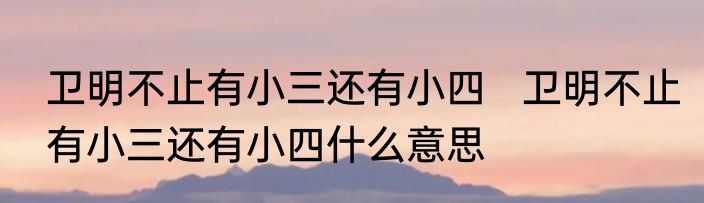 卫明不止有小三还有小四   卫明不止有小三还有小四什么意思