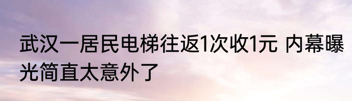 武汉一居民电梯往返1次收1元 内幕曝光简直太意外了