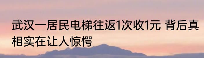 武汉一居民电梯往返1次收1元 背后真相实在让人惊愕