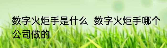 数字火炬手是什么  数字火炬手哪个公司做的