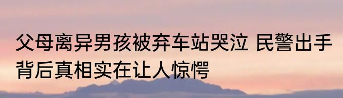 父母离异男孩被弃车站哭泣 民警出手 背后真相实在让人惊愕