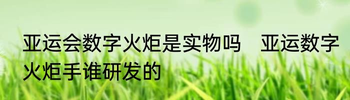 亚运会数字火炬是实物吗   亚运数字火炬手谁研发的