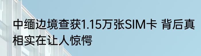中缅边境查获1.15万张SIM卡 背后真相实在让人惊愕