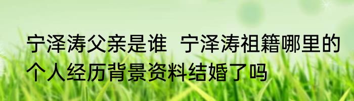 宁泽涛父亲是谁  宁泽涛祖籍哪里的个人经历背景资料结婚了吗