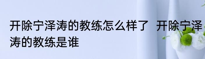 开除宁泽涛的教练怎么样了  开除宁泽涛的教练是谁