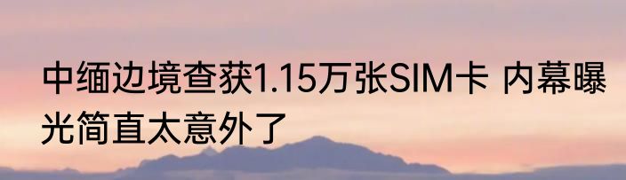 中缅边境查获1.15万张SIM卡 内幕曝光简直太意外了